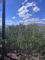0 High Pines Loop - Photo 3