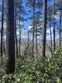 0 High Pines Loop - Photo 9