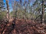 Lot 131 Thunder Road - Photo 8