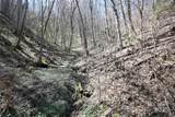 000 Big Laurel Road - Photo 10