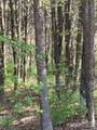 168 Porters Glen - Photo 13