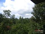 7866 Pinnacle Mountain Road - Photo 5