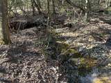 00 Goose Creek Drive - Photo 8