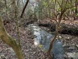 00 Goose Creek Drive - Photo 9