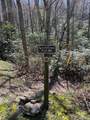 99999 Chestnut Forest Road - Photo 13