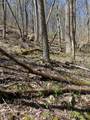 99999 Chestnut Forest Road - Photo 15