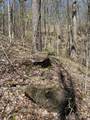 99999 Chestnut Forest Road - Photo 16