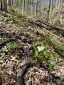 99999 Chestnut Forest Road - Photo 17