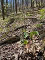 99999 Chestnut Forest Road - Photo 18