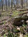 99999 Chestnut Forest Road - Photo 19