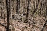 99999 Chestnut Forest Road - Photo 24
