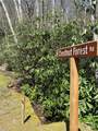 99999 Chestnut Forest Road - Photo 4