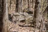 99999 Chestnut Forest Road - Photo 10