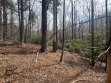 Tract A Cherrywood Lane - Photo 12