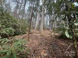 Tract A Cherrywood Lane - Photo 6