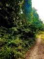 700 Wooded Mountain Trail - Photo 12