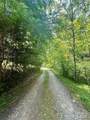 700 Wooded Mountain Trail - Photo 5
