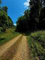 700 Wooded Mountain Trail - Photo 7