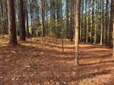 0 Clearwater Parkway - Photo 13
