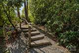 16 Sugarland Ridge Trail - Photo 42