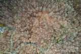 Lot 11 Stone Pillow Road - Photo 11