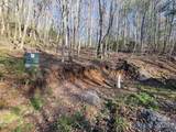 111 Digging Seng Trail - Photo 2