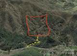 9999 Wayehutta Road - Photo 18