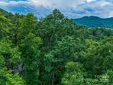 36 Dividing Ridge Trail - Photo 5