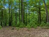 36 Dividing Ridge Trail - Photo 7