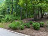 36 Dividing Ridge Trail - Photo 9