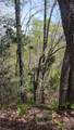 25 Lacy Fern Ridge - Photo 22