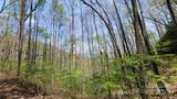 26 Lacy Fern Ridge - Photo 13