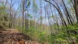 27 Lacy Fern Ridge - Photo 15