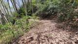 30 Lacy Fern Ridge - Photo 20