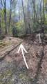 30 Lacy Fern Ridge - Photo 4