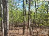 Lot 13 Back Hollow Drive - Photo 4