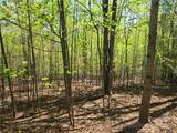 Lot 14 Back Hollow Drive - Photo 2