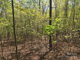 Lot 14 Back Hollow Drive - Photo 4