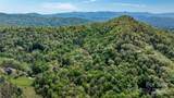 0000 Whispering Woods Path - Photo 12