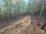 Lot 20 Touch Me Not Trail - Photo 5