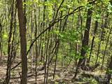 Lot 33 Turkey Fall Lane - Photo 6