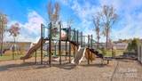 7712 Woolsey Drive - Photo 40