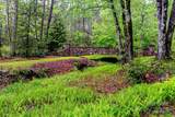 TBD High Hemlock Trail - Photo 18