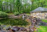 TBD High Hemlock Trail - Photo 21
