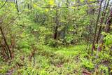 TBD High Hemlock Trail - Photo 4