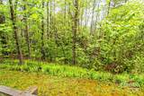 TBD High Hemlock Trail - Photo 5