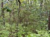 FR 16 Opossum Path - Photo 3