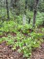 FR 16 Opossum Path - Photo 7