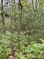 FR 16 Opossum Path - Photo 8