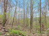 TBD Laurel Ridge Drive - Photo 21